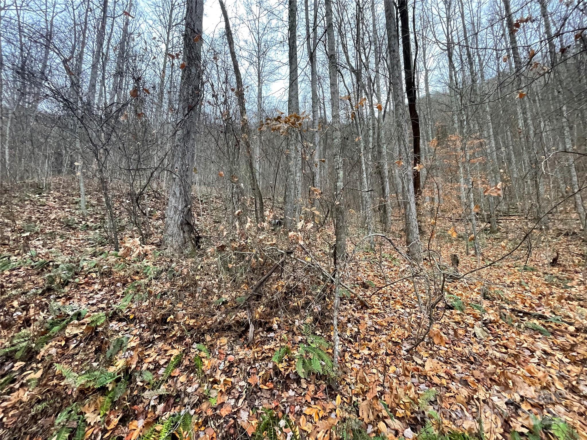 805 Sparkling Fls Road Whittier, NC 28789 - Photo 8 of 33 a view of backyard with wooden fence