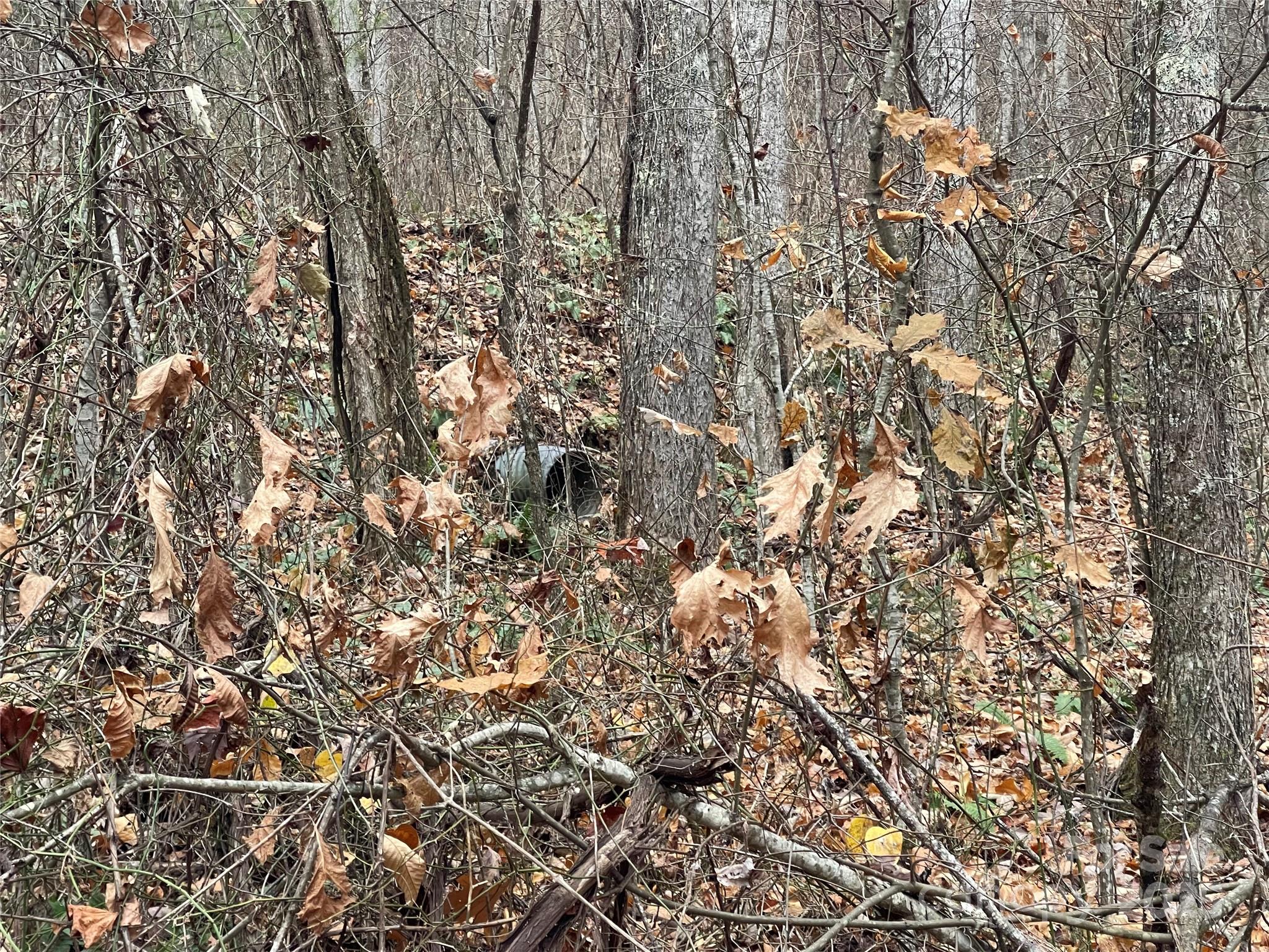 805 Sparkling Fls Road Whittier, NC 28789 - Photo 9 of 33