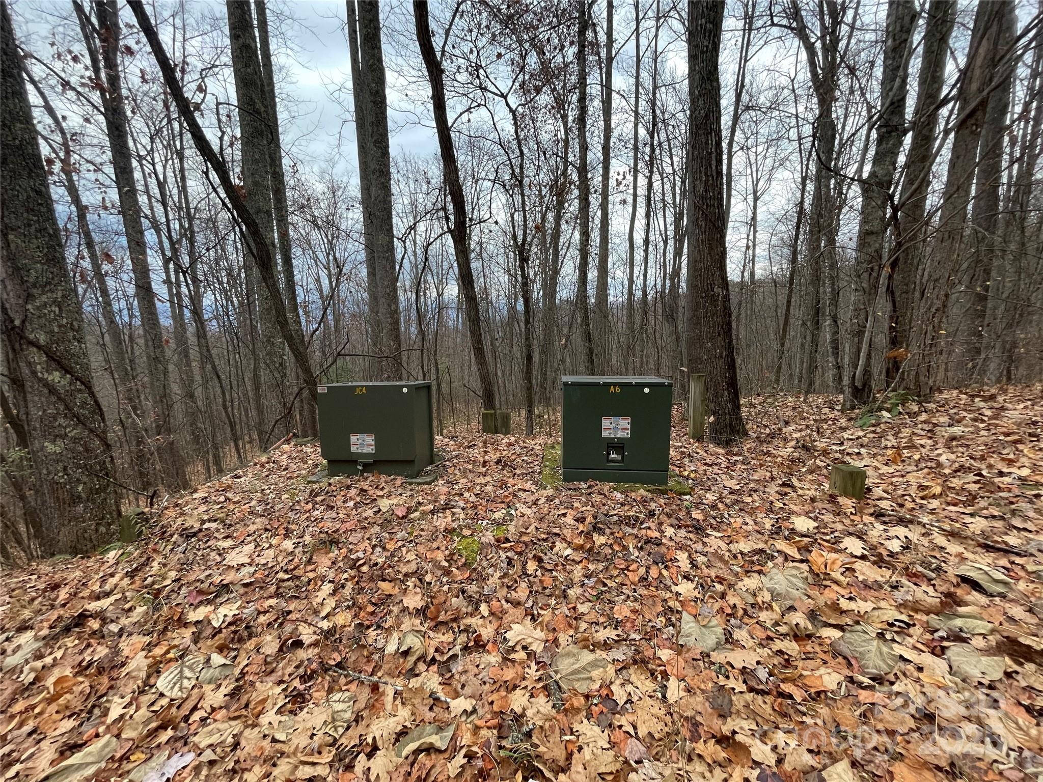 805 Sparkling Fls Road Whittier, NC 28789 - Photo 10 of 33 a backyard of a house with lots of green space