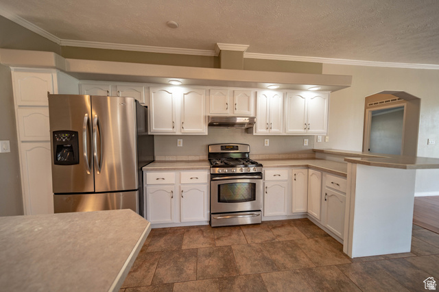 1407 North 1250th Street West Helper, UT 84526 - Photo 7 of 27 Kitchen featuring a peninsula, stainless steel appliances, white cabinets, ornamental molding, and light countertops