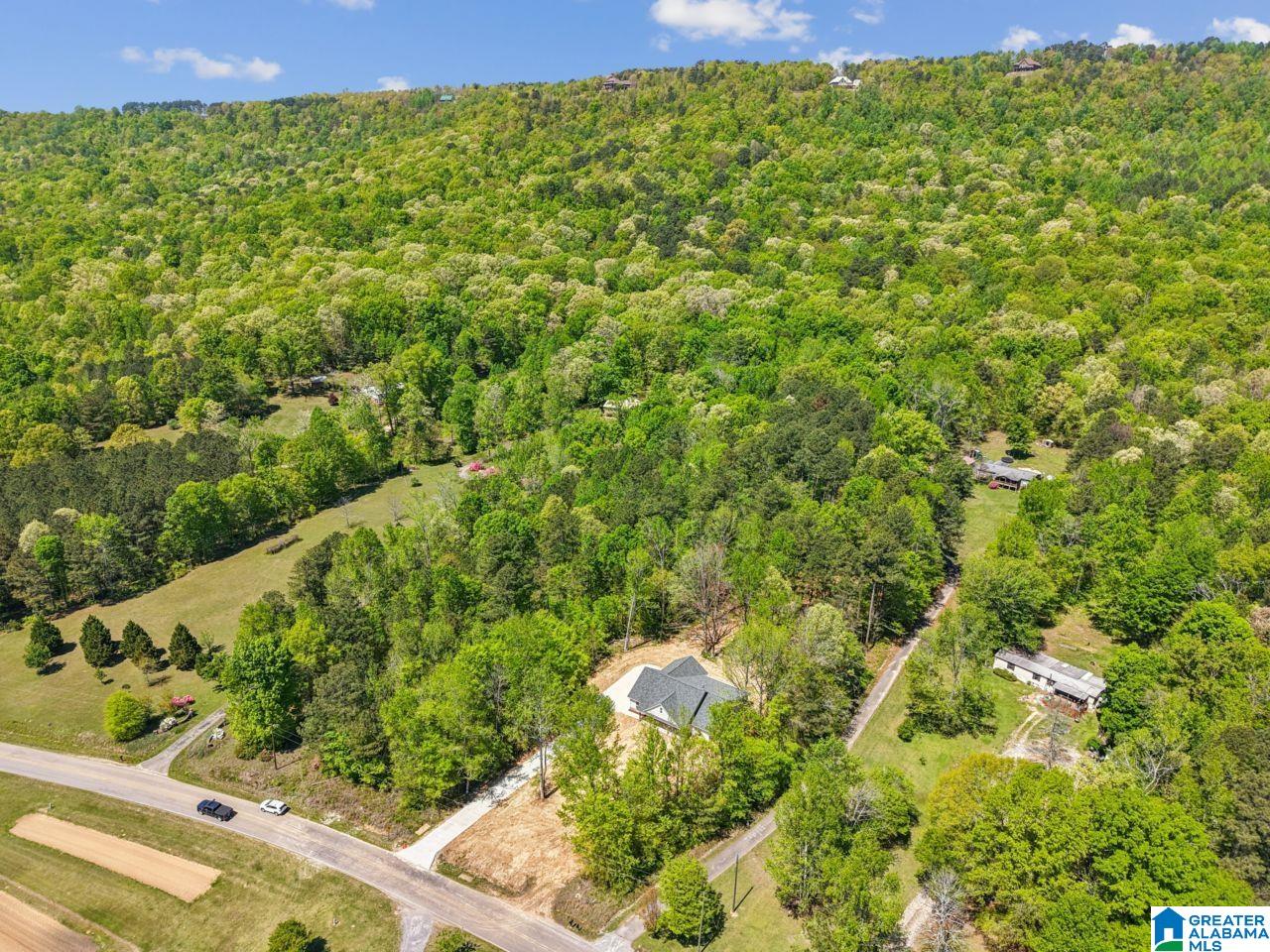 2775 Crawford Cove Road Springville, AL 35146 - Photo 32 of 32