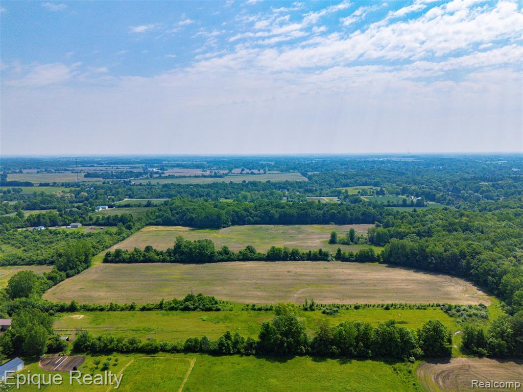0 Jeddo Road Yale, MI 48097 - Photo 10 of 21