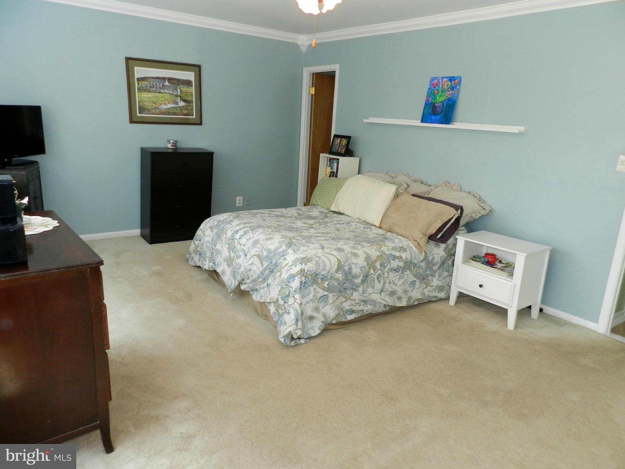 17426 Hoskinson Road Poolesville, MD 20837 - Photo 22 of 29 Bedroom (Master)