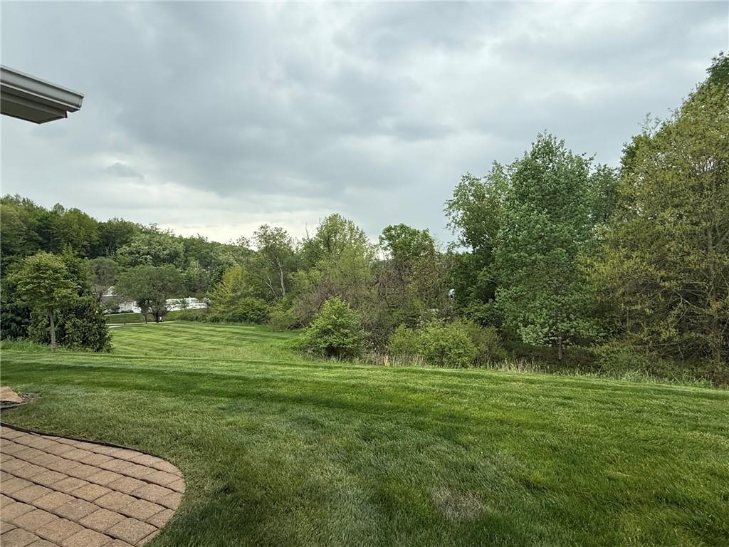 411 Chestnut Lane Apollo, PA 15613 - Photo 32 of 38 a big yard with lots of green space
