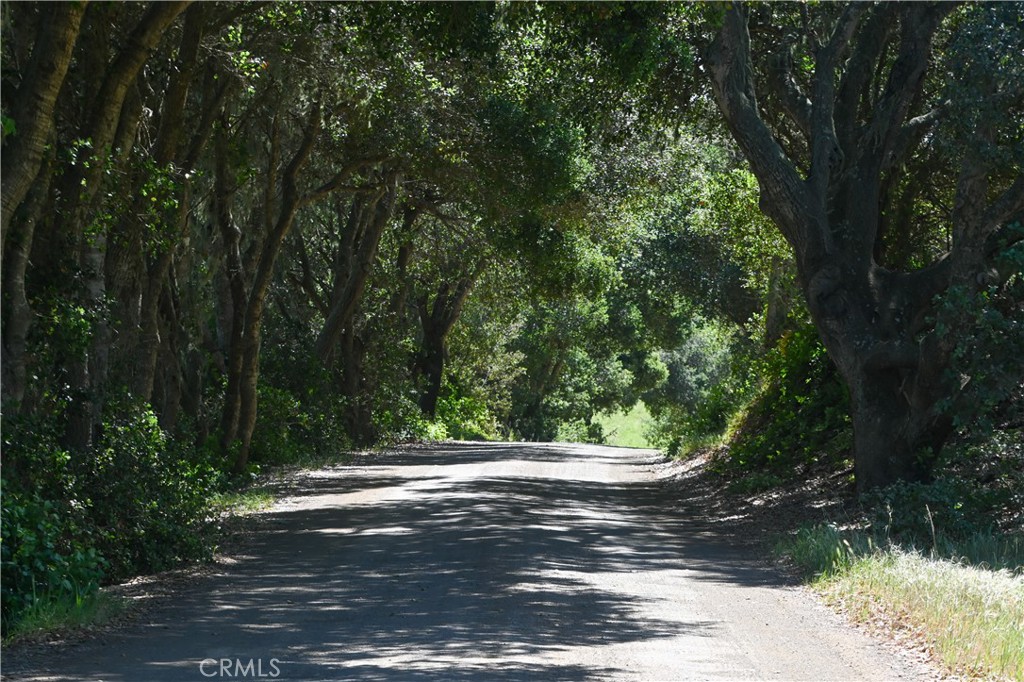 4144 Harmony Valley Road Harmony, CA 93435 - Photo 1 of 41