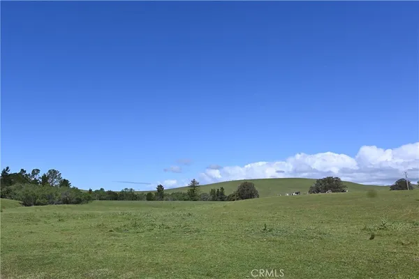 a view of a grassy field with an trees