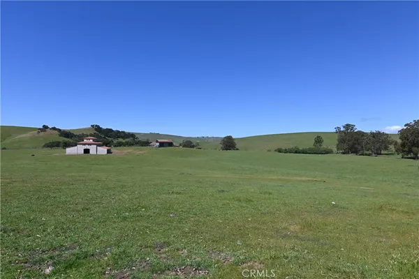 a view of a grassy field with an trees