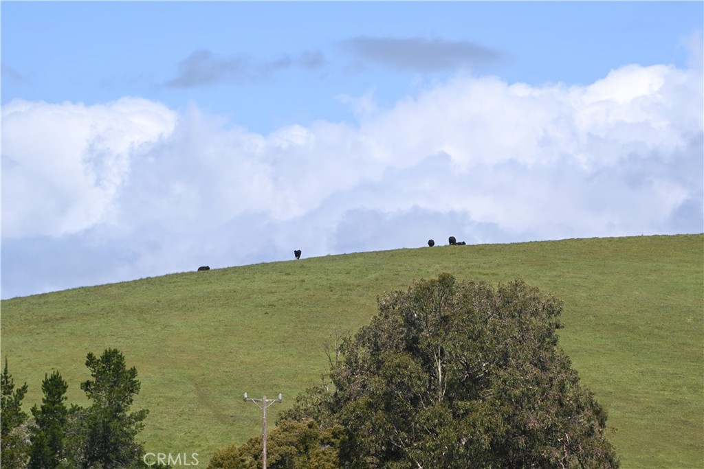 4144 Harmony Valley Road Harmony, CA 93435 - Photo 2 of 41