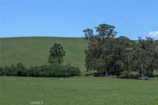 a view of a field with an ocean