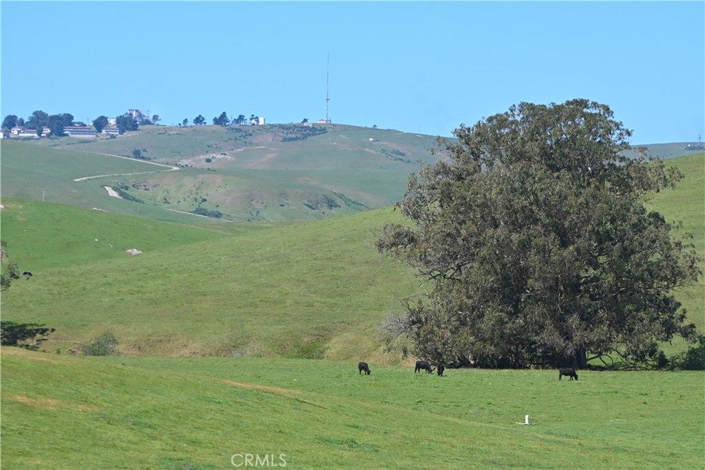 4144 Harmony Valley Road Harmony, CA 93435 - Photo 22 of 41