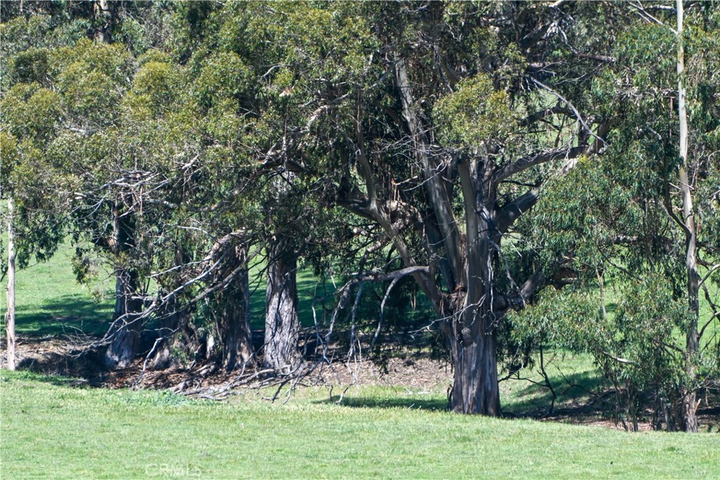 4144 Harmony Valley Road Harmony, CA 93435 - Photo 24 of 41