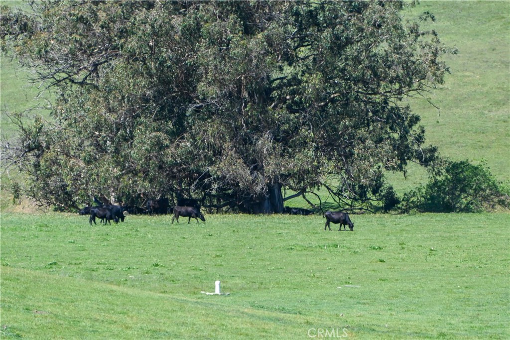 4144 Harmony Valley Road Harmony, CA 93435 - Photo 26 of 41