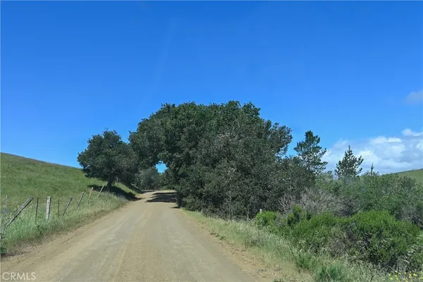 a view of a bunch of trees