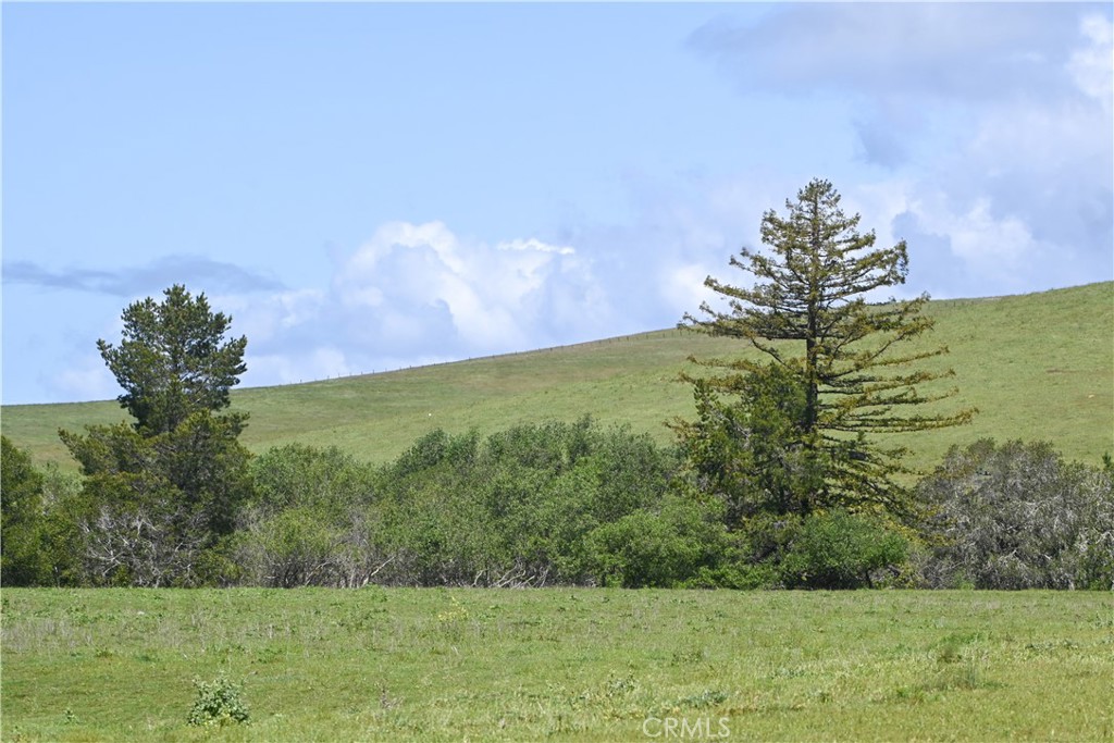 4144 Harmony Valley Road Harmony, CA 93435 - Photo 3 of 41