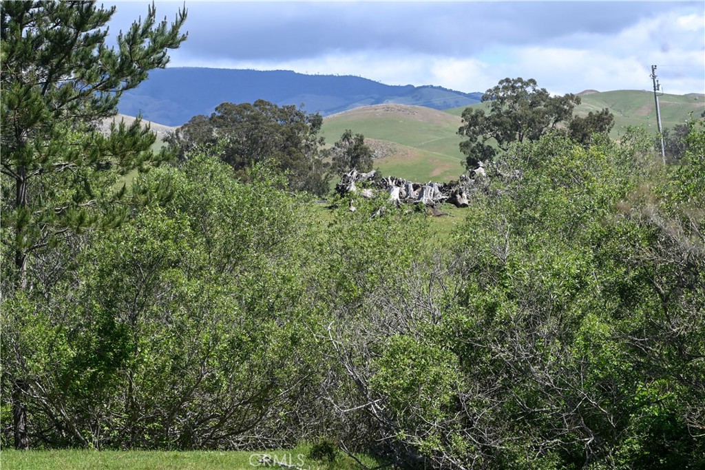 4144 Harmony Valley Road Harmony, CA 93435 - Photo 32 of 41