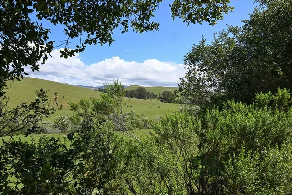 a view of a lake with a yard