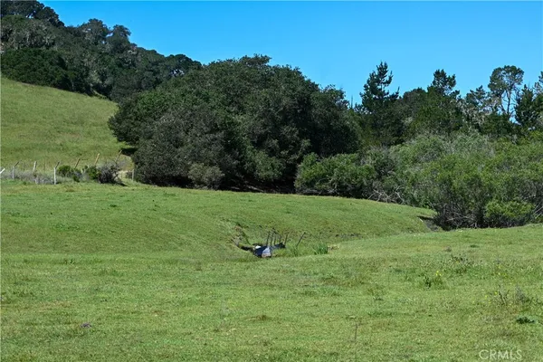a view of a green field with plants