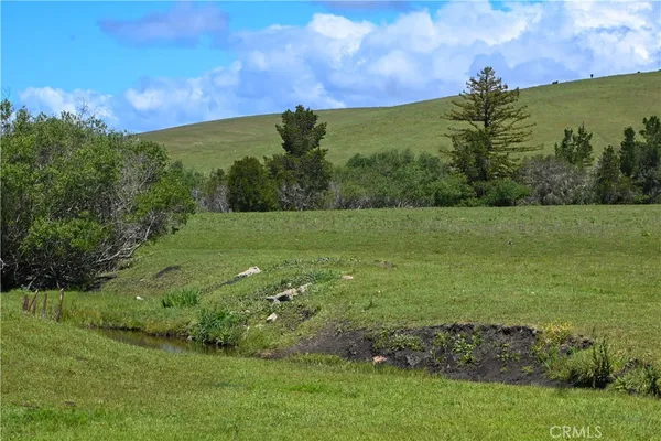 a view of a field with an ocean