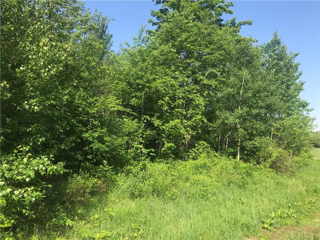 242 Lewis Hill Road West Newfield, ME 04095 - Photo 8 of 23 Photo