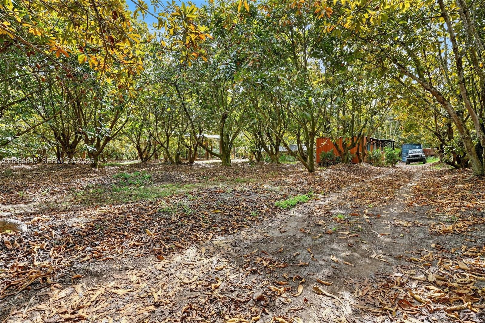 15300 Southwest 193rd Avenue Miami, FL 33187 - Photo 12 of 31
