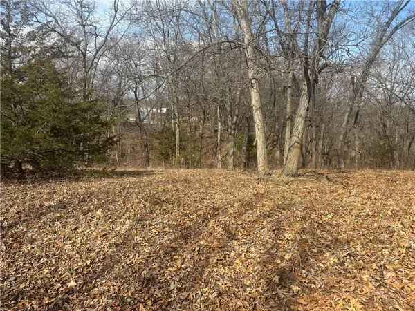 $25,000 | 3109 Lake Viking Terrace, Altamont, MO 64620
