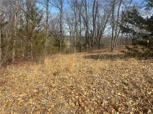 $25,000 | 3109 Lake Viking Terrace, Altamont, MO 64620
