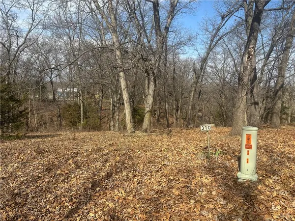 $25,000 | 3109 Lake Viking Terrace, Altamont, MO 64620