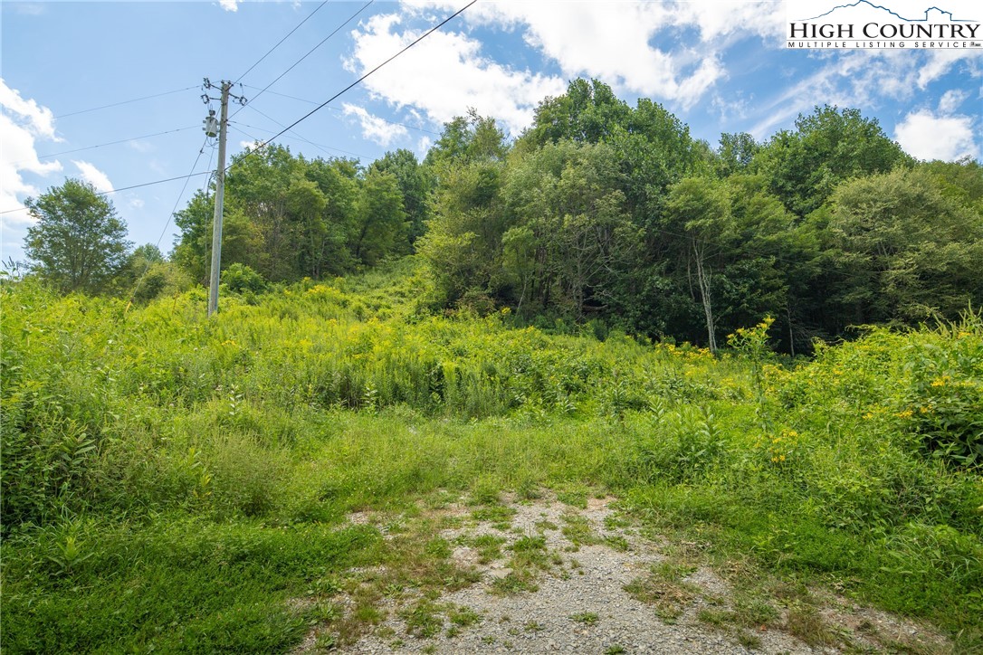 Georges Gap Road Vilas, NC 28692 - Photo 8 of 42 Gallery Image 8