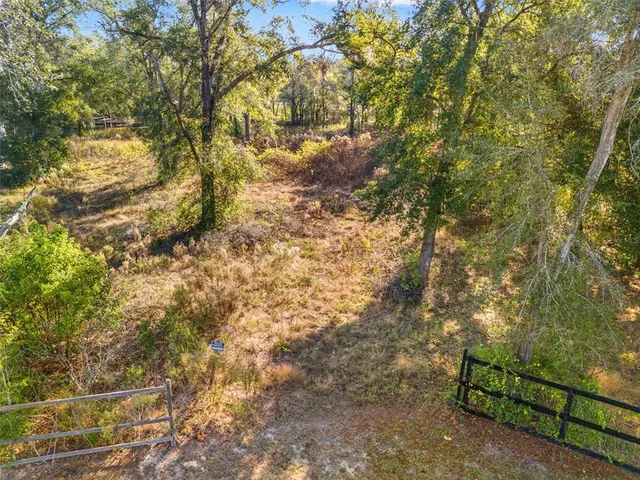 a view of under tree