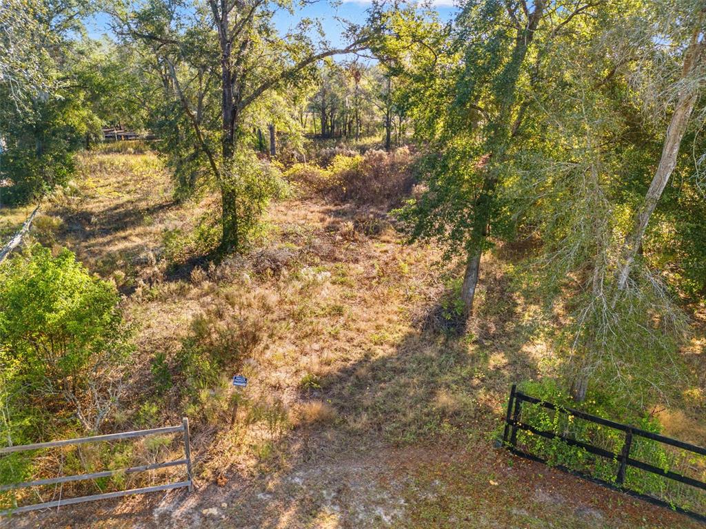 16800 Delft Place Spring Hill, FL 34610 - Photo 2 of 15 a view of under tree
