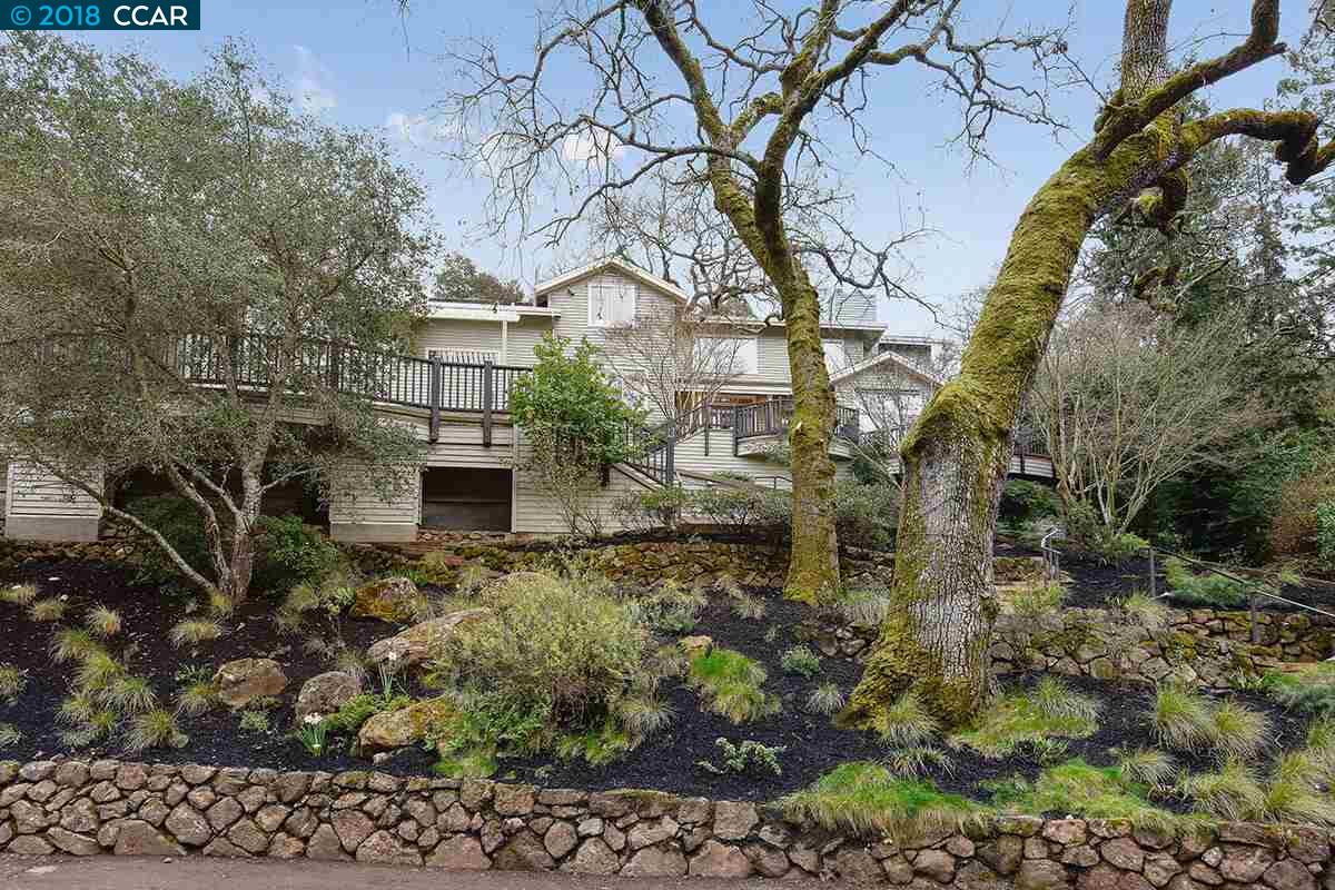 a backyard of a house with a tree