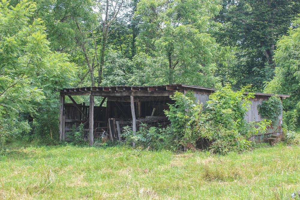 34733 Lake Road McArthur, OH 45651 - Photo 12 of 32