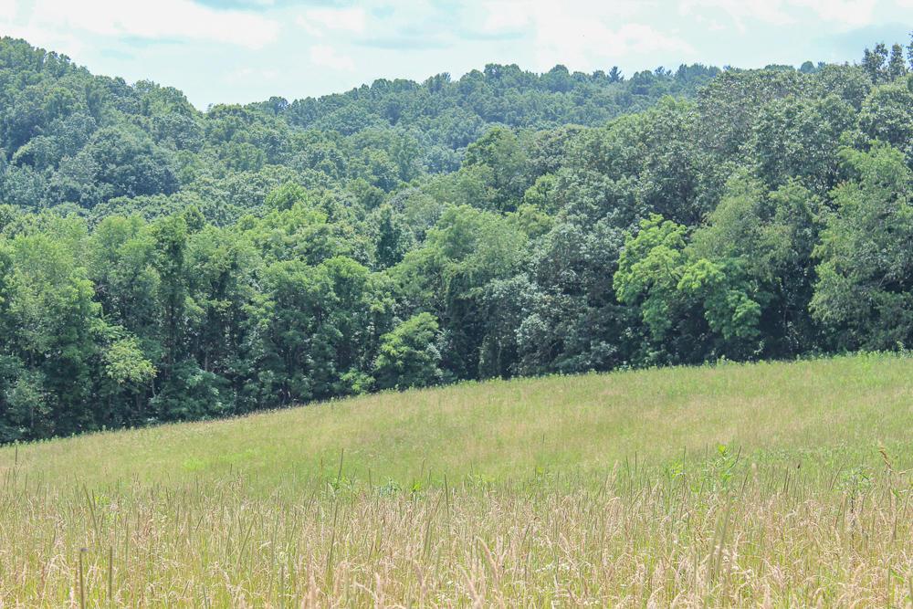 34733 Lake Road McArthur, OH 45651 - Photo 13 of 32