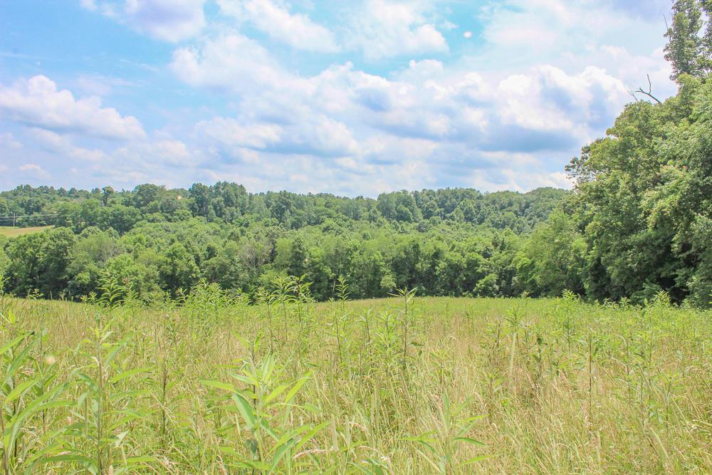 34733 Lake Road McArthur, OH 45651 - Photo 17 of 32