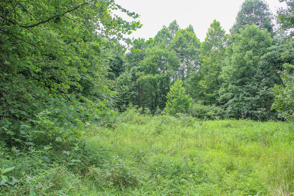 34733 Lake Road McArthur, OH 45651 - Photo 20 of 32