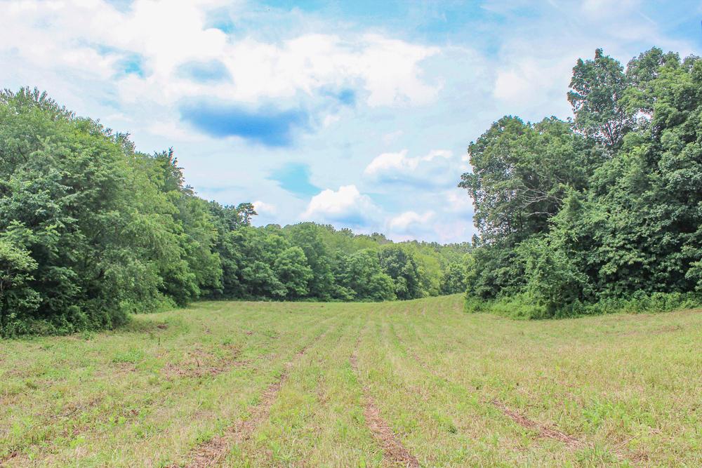 34733 Lake Road McArthur, OH 45651 - Photo 22 of 32