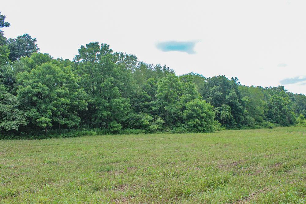 34733 Lake Road McArthur, OH 45651 - Photo 23 of 32