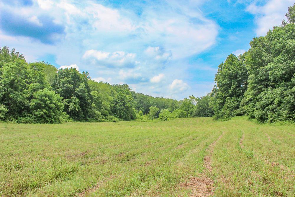 34733 Lake Road McArthur, OH 45651 - Photo 24 of 32