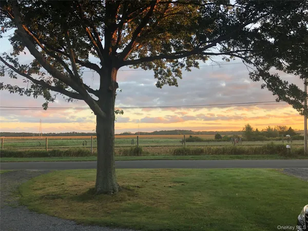 a view of ocean from a yard