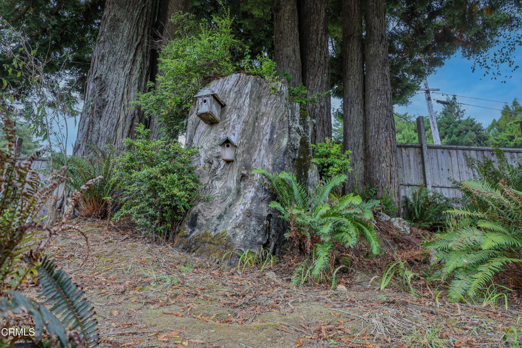 31600 Little Valley Road Fort Bragg, CA 95437 - Photo 39 of 75 BK6A3123 copy