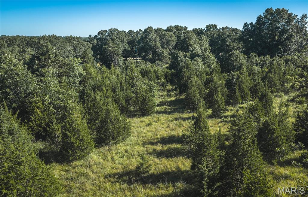 9.93-acres State Rte B St. James, MO 65559 - Photo 7 of 17
