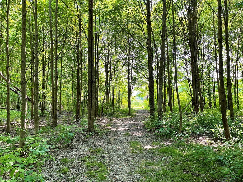 17615 Rock Creek Road Thompson, OH 44086 - Photo 22 of 35