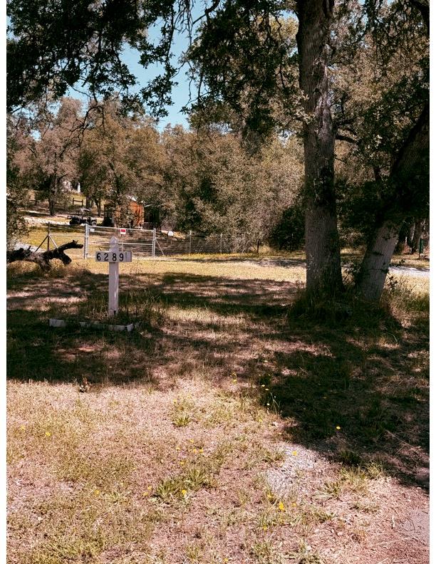 6289 Bald Mountain Road Browns Valley, CA 95918 - Photo 2 of 9