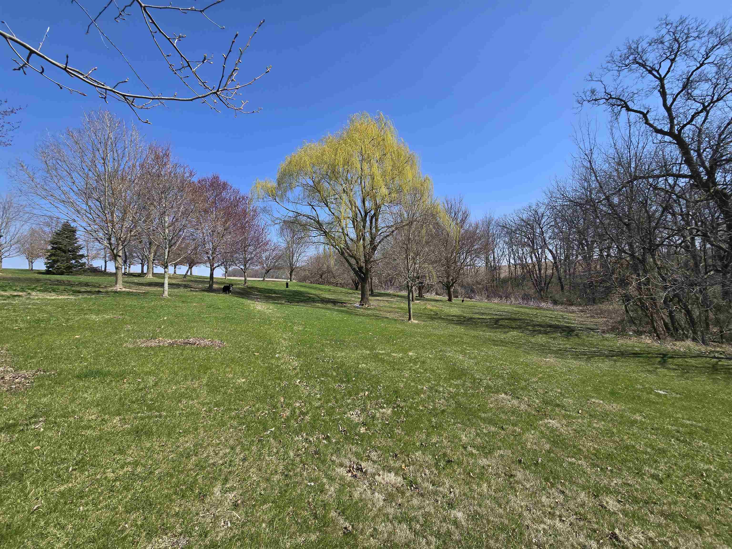 24205 Payne Road Shannon, IL 61078 - Photo 11 of 27