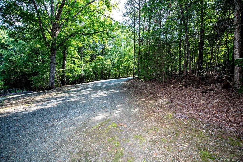 817 Bonum Road Lake Wylie, SC 29710 - Photo 41 of 41 a view of a yard with plants and trees