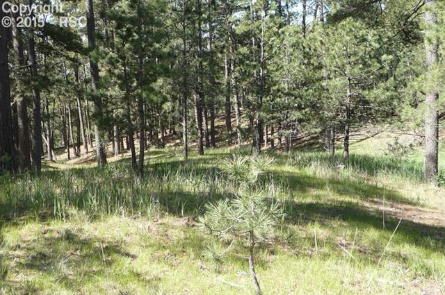 18145 Cumbres Road Peyton, CO 80831 - Photo 14 of 30 Gallery Image 14
