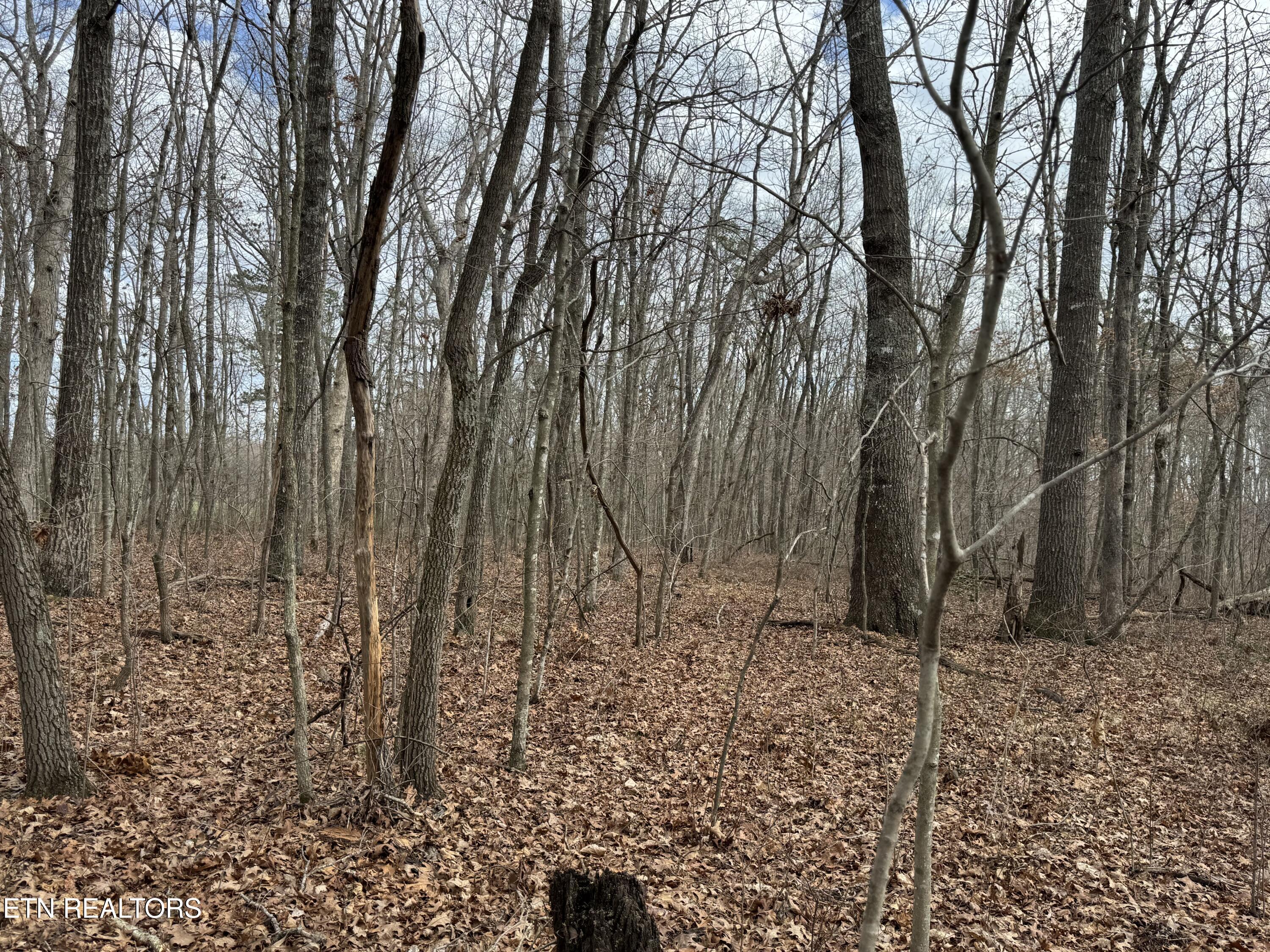 1261 Roanoke Road Jamestown, TN 38556 - Photo 1 of 16 IMG_9669