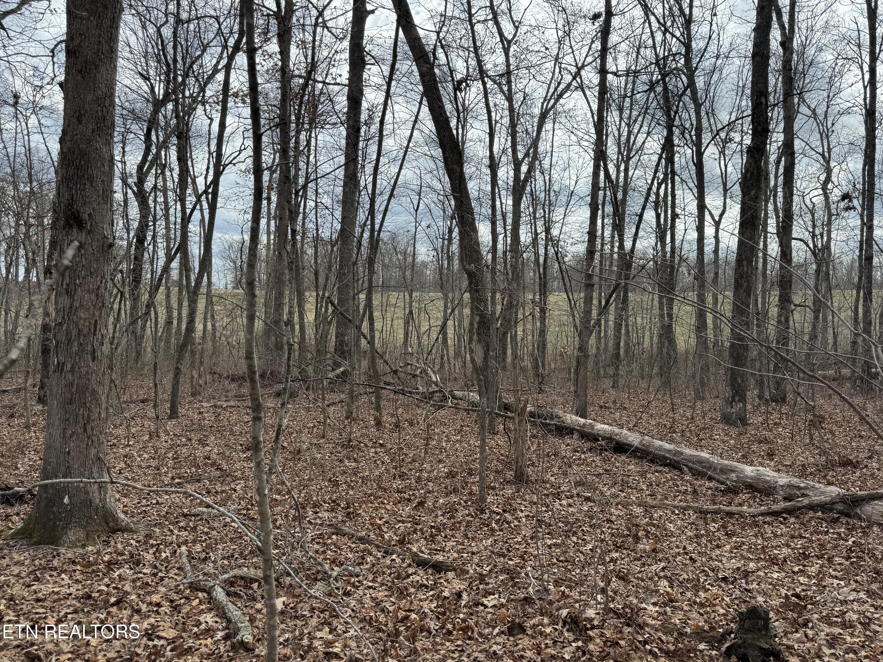 1261 Roanoke Road Jamestown, TN 38556 - Photo 2 of 16 IMG_9668