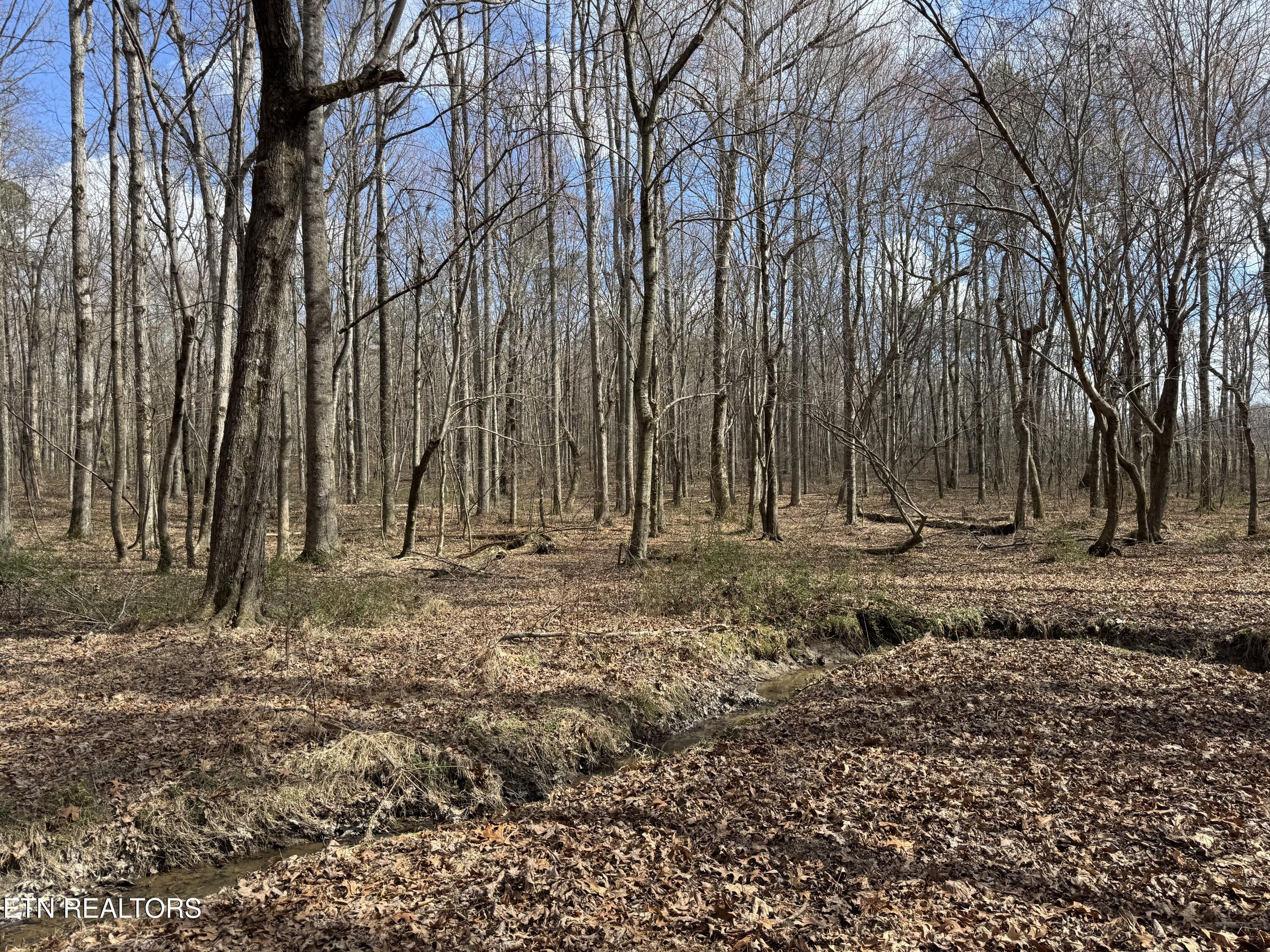 1261 Roanoke Road Jamestown, TN 38556 - Photo 6 of 16 IMG_9659