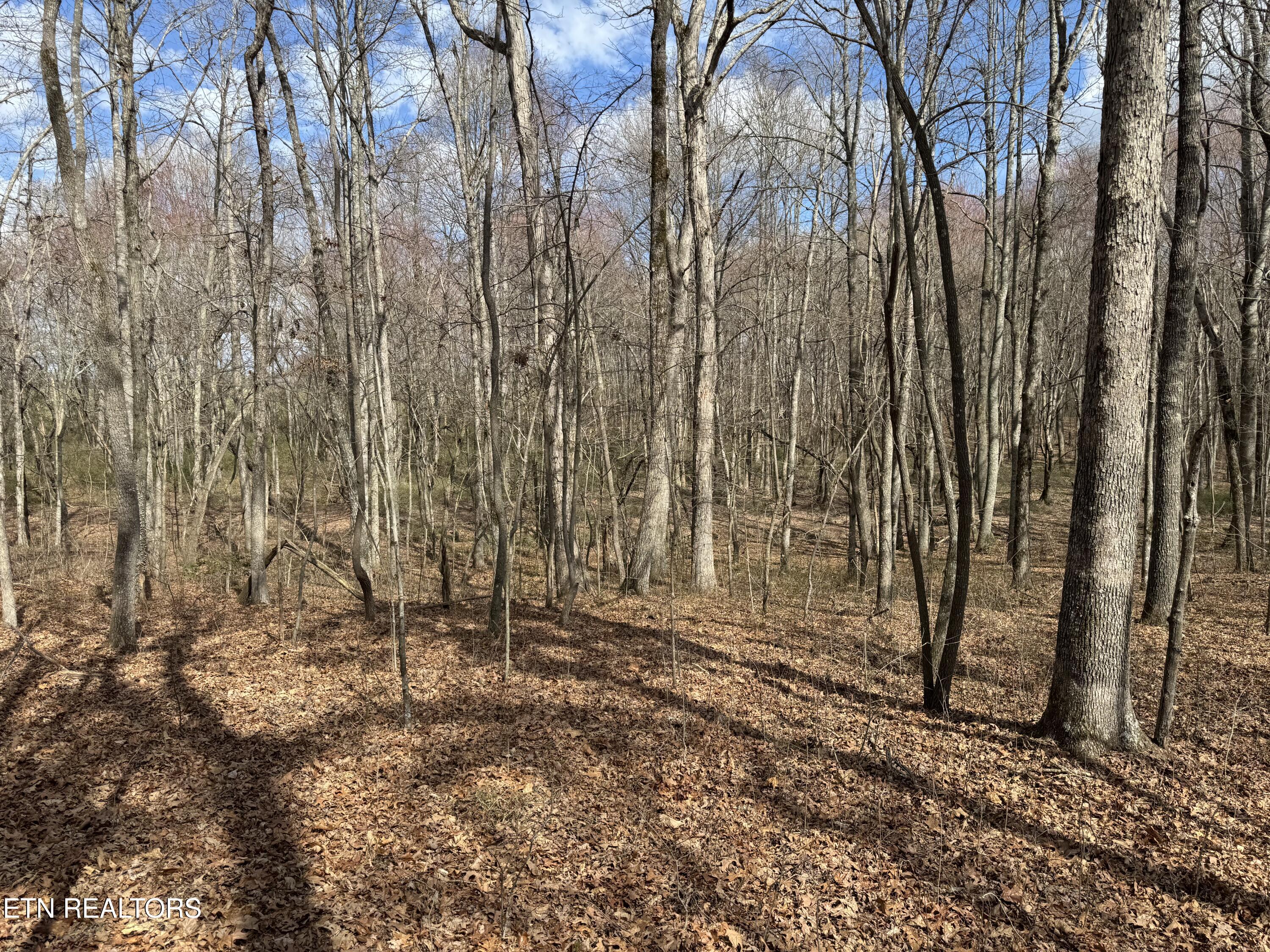 1261 Roanoke Road Jamestown, TN 38556 - Photo 8 of 16 IMG_9657